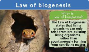 Romans 6:23 – Did Jesus Contradict the Law of Biogenesis in John 12:24?