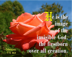 Col 1:15 – “firstborn of every creature”   Does this mean that Christ was created as Jehovah’s Witnesses teach?