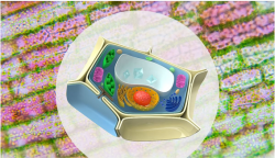 The World’s Smallest Computer