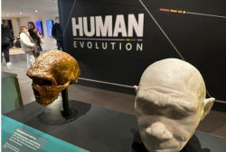 The Faith of the Evolutionist