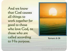 The Glories of Romans 8:28