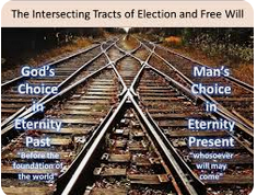 Election and Free-will