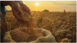God’s Provision