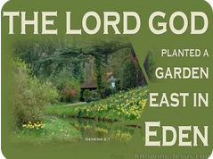 Genesis 2:8-9 – Were Plants or Humans Created First?